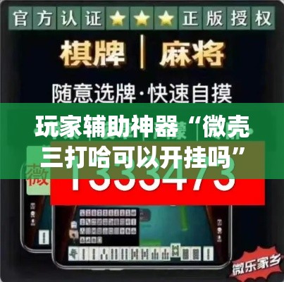 玩家辅助神器“微壳三打哈可以开挂吗”(透视)其实确实有挂