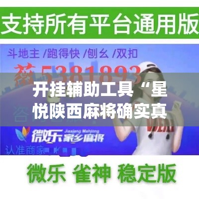 开挂辅助工具“星悦陕西麻将确实真的有挂”专业师傅带你一起了解(确实有挂