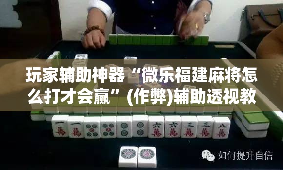 玩家辅助神器“微乐福建麻将怎么打才会赢	”(作弊)辅助透视教程