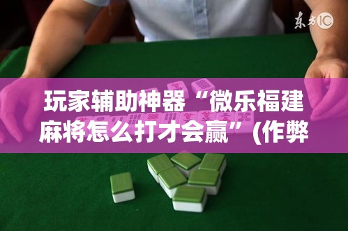 玩家辅助神器“微乐福建麻将怎么打才会赢”(作弊)辅助透视教程