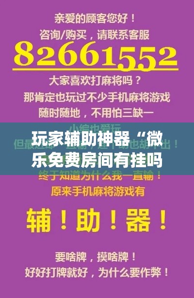 玩家辅助神器“微乐免费房间有挂吗”(作弊)辅助透视教程