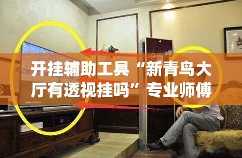 开挂辅助工具“新青鸟大厅有透视挂吗”专业师傅带你一起了解(确实有挂