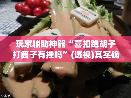 玩家辅助神器“喜扣跑胡子打筒子有挂吗”(透视)其实确实有挂