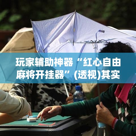 玩家辅助神器“红心自由麻将开挂器	”(透视)其实确实有挂