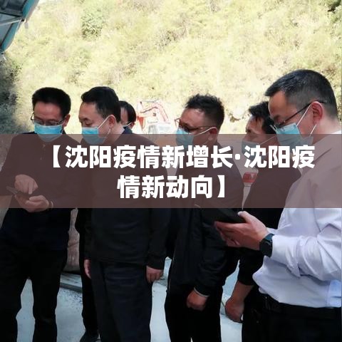 【沈阳疫情新增长·沈阳疫情新动向】 【沈阳疫情新增长·沈阳疫情新动向】