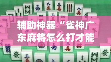 辅助神器“雀神广东麻将怎么打才能赢”专业师傅带你一起了解(确实有挂