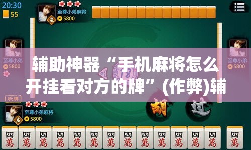 辅助神器“手机麻将怎么开挂看对方的牌	”(作弊)辅助透视教程