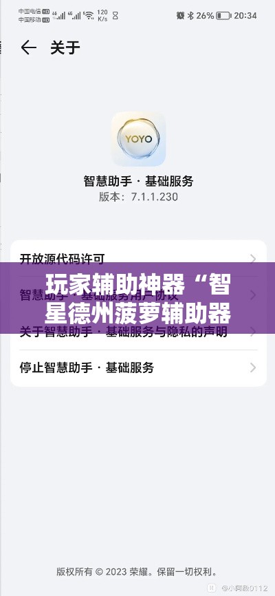 玩家辅助神器“智星德州菠萝辅助器下载安装	”分享用挂教程