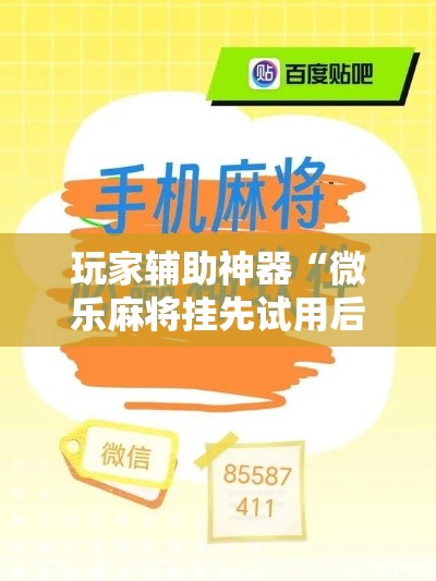 玩家辅助神器“微乐麻将挂先试用后付款”科技辅助神器手机版