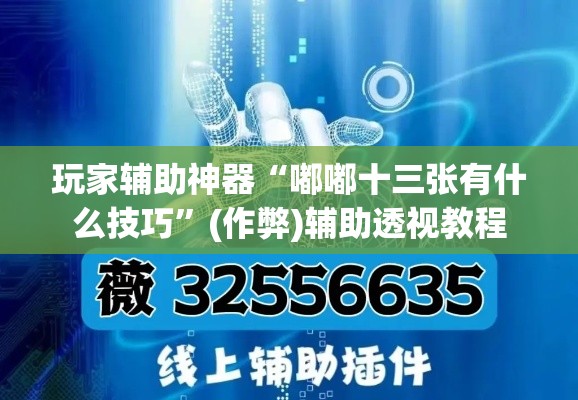 玩家辅助神器“嘟嘟十三张有什么技巧	”(作弊)辅助透视教程