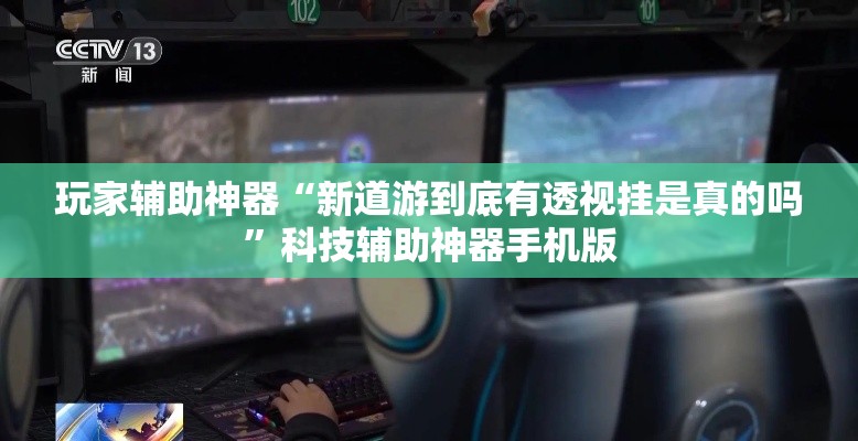 玩家辅助神器“新道游到底有透视挂是真的吗”科技辅助神器手机版