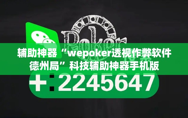 辅助神器“wepoker透视作弊软件德州局”科技辅助神器手机版
