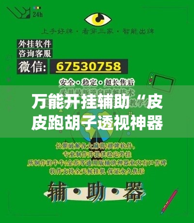万能开挂辅助“皮皮跑胡子透视神器	”专业师傅带你一起了解(确实有挂