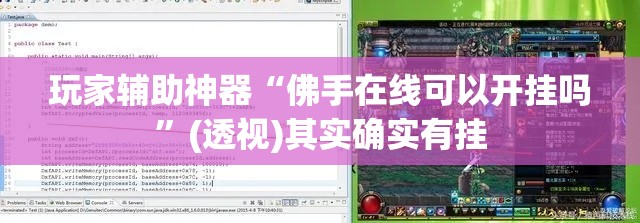 玩家辅助神器“佛手在线可以开挂吗	”(透视)其实确实有挂