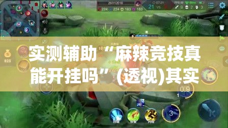 实测辅助“麻辣竞技真能开挂吗”(透视)其实确实有挂