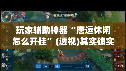 玩家辅助神器“唐逗休闲怎么开挂”(透视)其实确实有挂