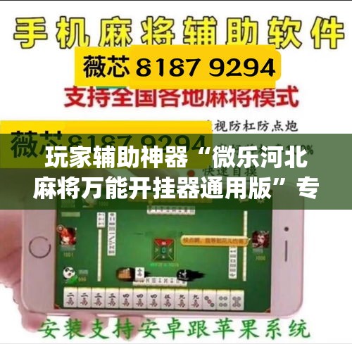 玩家辅助神器“微乐河北麻将万能开挂器通用版	”专业师傅带你一起了解(确实有挂