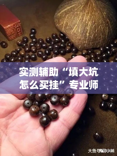 实测辅助“填大坑怎么买挂”专业师傅带你一起了解(确实有挂