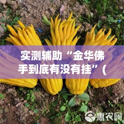 科普一下“牛牛炸 金花房卡”详细房卡使用教程