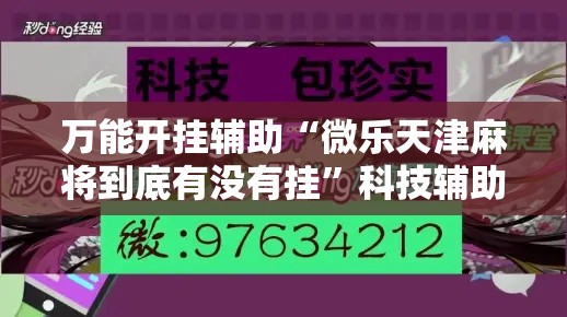 万能开挂辅助“微乐天津麻将到底有没有挂	”科技辅助神器手机版