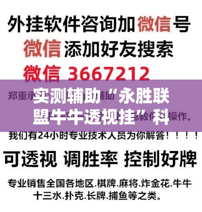实测辅助“永胜联盟牛牛透视挂	”科技辅助神器手机版