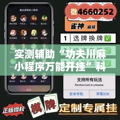 实测辅助“功夫川麻小程序万能开挂”科技辅助神器手机版