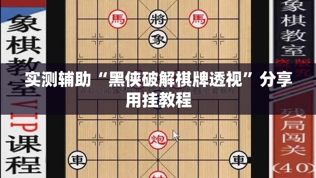 实测辅助“黑侠破解棋牌透视	”分享用挂教程