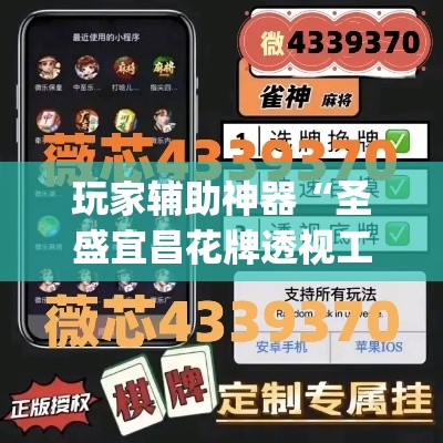 玩家辅助神器“圣盛宜昌花牌透视工具	”专业师傅带你一起了解(确实有挂