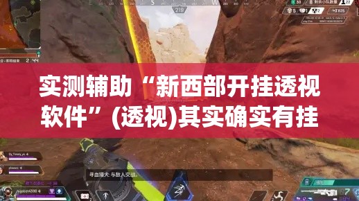实测辅助“新西部开挂透视软件	”(透视)其实确实有挂