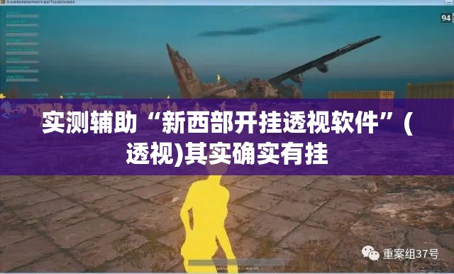 实测辅助“新西部开挂透视软件”(透视)其实确实有挂