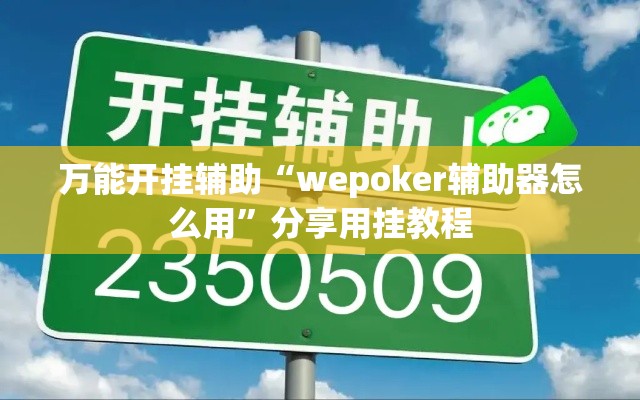 万能开挂辅助“wepoker辅助器怎么用	”分享用挂教程