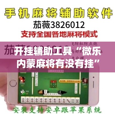 开挂辅助工具“微乐内蒙麻将有没有挂”(透视)其实确实有挂
