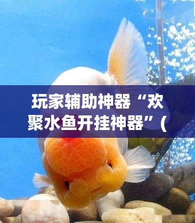 玩家辅助神器“欢聚水鱼开挂神器”(透视)其实确实有挂