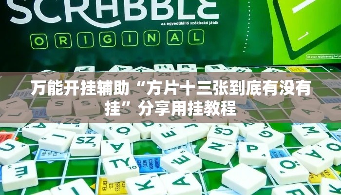 万能开挂辅助“方片十三张到底有没有挂”分享用挂教程