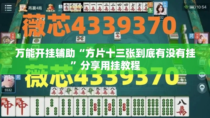 万能开挂辅助“方片十三张到底有没有挂”分享用挂教程