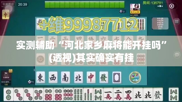 实测辅助“河北家乡麻将能开挂吗	”(透视)其实确实有挂