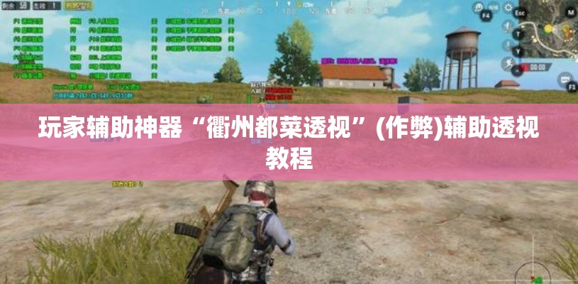 玩家辅助神器“衢州都菜透视”(作弊)辅助透视教程