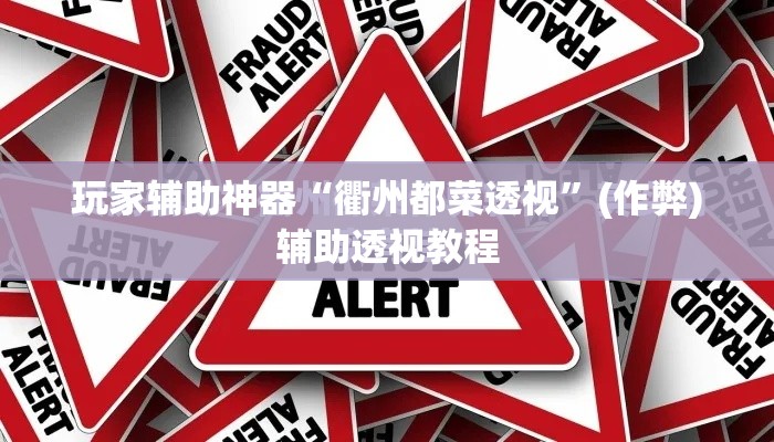 玩家辅助神器“衢州都菜透视”(作弊)辅助透视教程