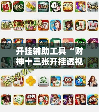 开挂辅助工具“财神十三张开挂透视软件”科技辅助神器手机版