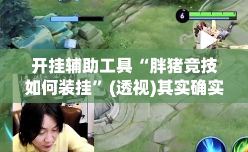 开挂辅助工具“胖猪竞技如何装挂”(透视)其实确实有挂