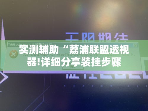 实测辅助“荔浦联盟透视器!详细分享装挂步骤 实测辅助“荔浦联盟透视器!详细分享装挂步骤