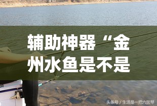 新干县新增疫情最新消息—（新干县新冠肺炎）