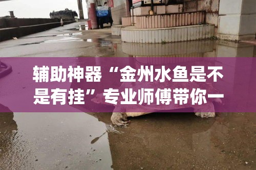 玩家必备教程“金花房卡代理销售”轻松获取房卡全渠道