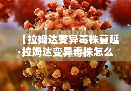 给大家讲解“微信金花房卡怎样购买”链接房卡在哪里获取