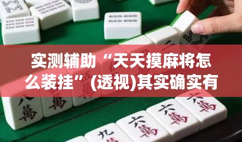 实测辅助“天天摸麻将怎么装挂	”(透视)其实确实有挂
