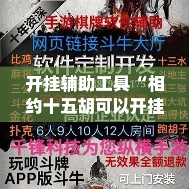 开挂辅助工具“相约十五胡可以开挂吗”(透视)其实确实有挂