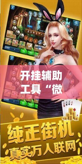 开挂辅助工具“微乐捉鸡麻将有挂吗	”专业师傅带你一起了解(确实有挂