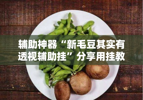 辅助神器“新毛豆其实有透视辅助挂	”分享用挂教程