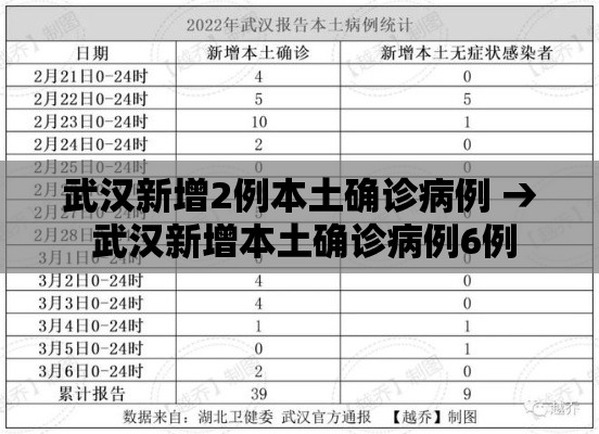 武汉新增2例本土确诊病例 → 武汉新增本土确诊病例6例 武汉新增2例本土确诊病例 → 武汉新增本土确诊病例6例