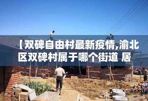 【双碑自由村最新疫情,渝北区双碑村属于哪个街道 居委会】